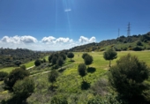 Xalet independent amb terreny en venda a Estepona ref.: TR396543 foto