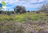 Casa de campo con terreno en venta en El Puerto de Santa María ref: TR396501 foto