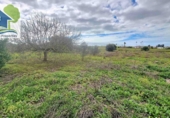 Casa de campo con terreno en venta en El Puerto de Santa María ref: TR396501 foto