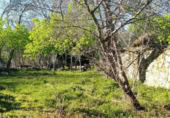 Casa de piedra con terreno en venta en la Calle Cobreros, San Román de Sanabria, ref: TR396533 foto