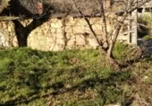 Casa de piedra con terreno en venta en la Calle Cobreros, San Román de Sanabria, ref: TR396533 foto
