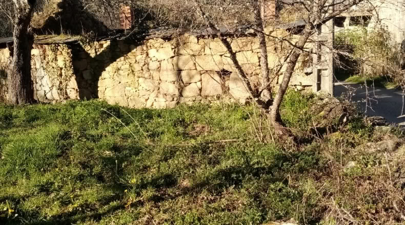 Zamora - San Román de Sanabria - 285m2