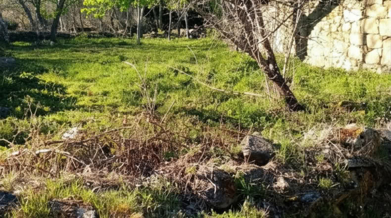 Zamora - San Román de Sanabria - 285m2