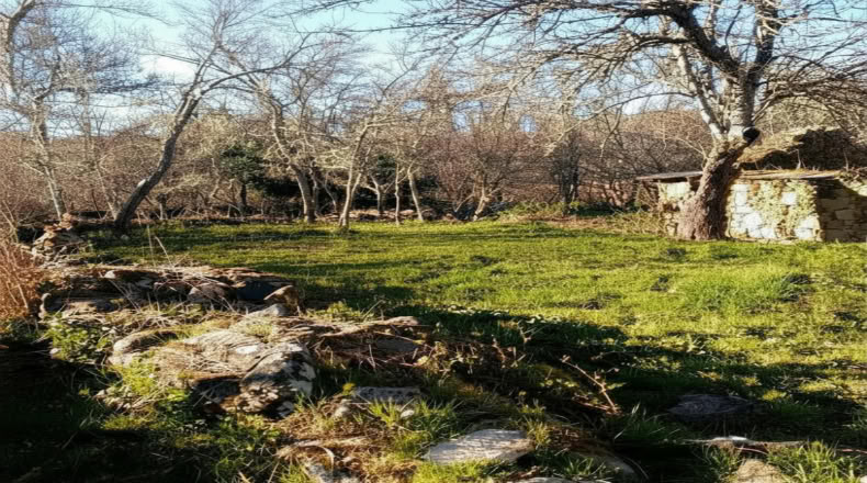 Zamora - San Román de Sanabria - 285m2