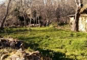 Casa de piedra con terreno en venta en la Calle Cobreros, San Román de Sanabria, ref: TR396533 foto