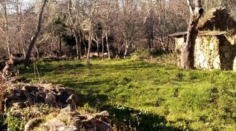 Zamora - San Román de Sanabria - 285m2