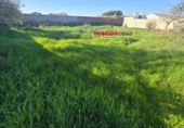 Xalet independent amb terreny en venda a la España, Fuente Obejuna, ref.: TR397017 foto