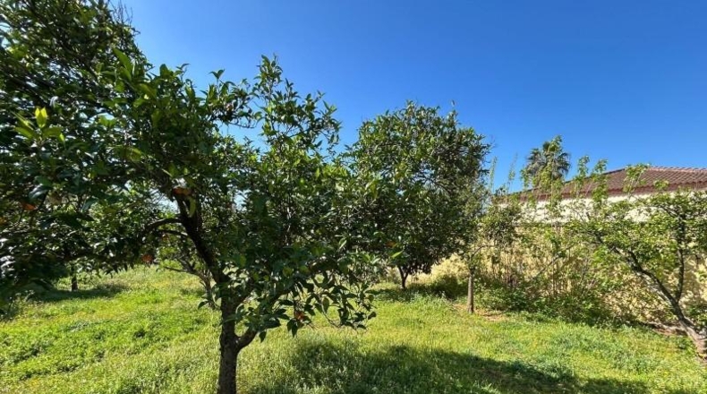 Sevilla - Mairena del Alcor - 182m2