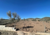 Xalet independent amb terreny en venda a la España, Alboloduy, ref.: TR397016 foto