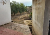 Casa de camp amb terreny en venda a la España, Novelda, ref.: TR397000 foto