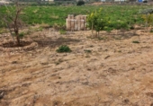 Casa de camp amb terreny en venda a la España, Novelda, ref.: TR397000 foto