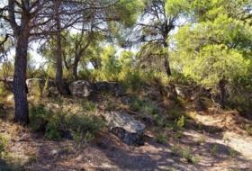 Batea 53800&nbsp;м²