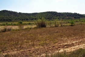 Batea 53800&nbsp;м²
