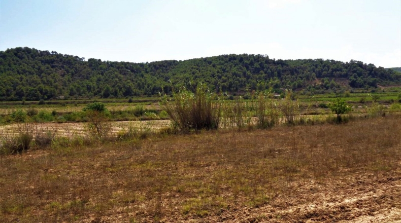 Таррагона - Batea - 53800m2