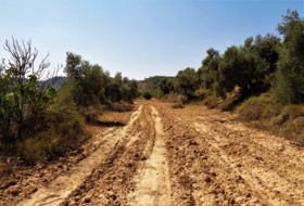 Batea 53800&nbsp;м²
