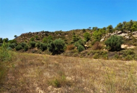 Batea 53800&nbsp;м²