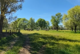 Aldea del Fresno 450000&nbsp;m²
