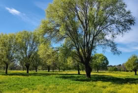 Aldea del Fresno 450000&nbsp;m²