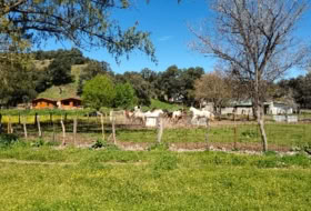 Aldea del Fresno 450000&nbsp;m²