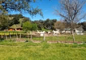 Casa de camp amb terreny en venda a la M-507, Aldea del Fresno, ref.: TR396531 foto