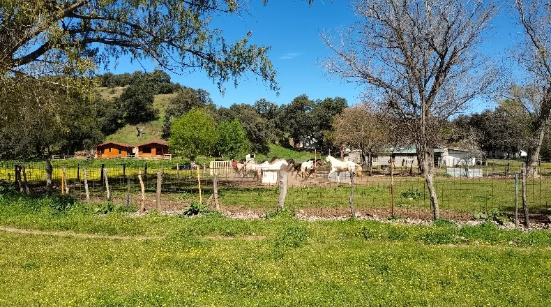 Comunidad de Madrid - Aldea del Fresno - 450000m2