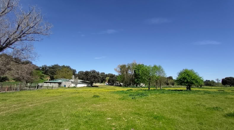 Comunidad de Madrid - Aldea del Fresno - 450000m2
