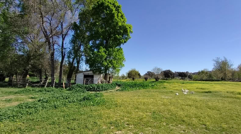Comunidad de Madrid - Aldea del Fresno - 450000m2