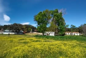 Aldea del Fresno 450000&nbsp;m²