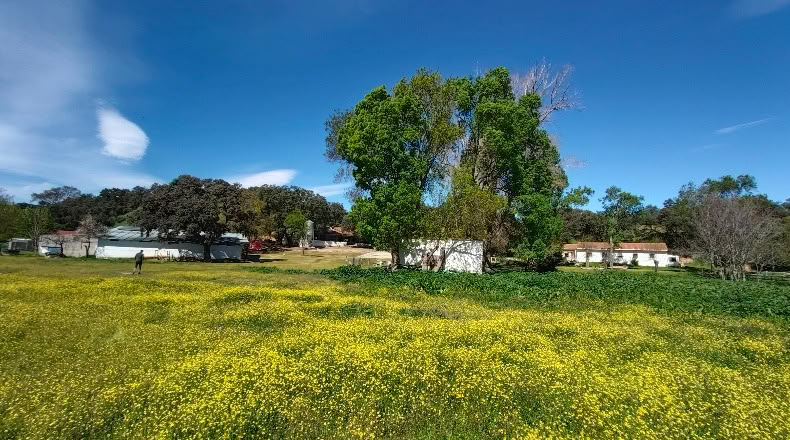 Comunidad de Madrid - Aldea del Fresno - 450000m2
