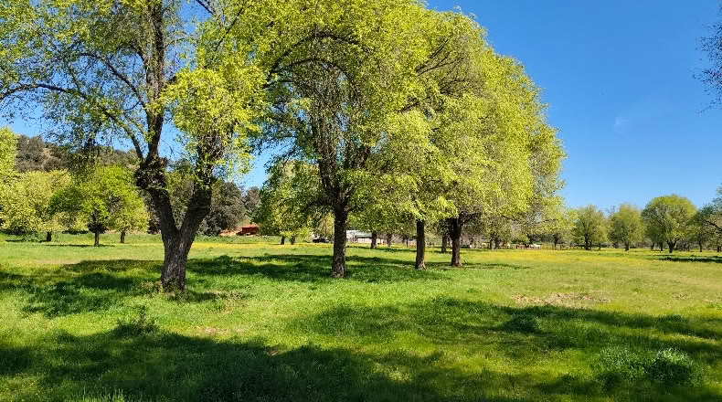Comunidad de Madrid - Aldea del Fresno - 450000m2