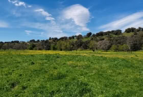 Aldea del Fresno 450000&nbsp;m²