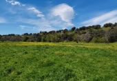 Casa de camp amb terreny en venda a la M-507, Aldea del Fresno, ref.: TR396531 foto