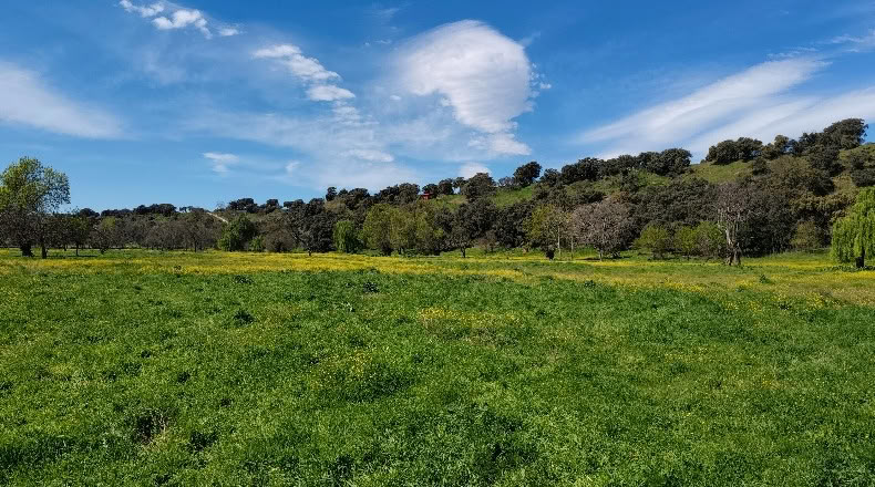 Comunidad de Madrid - Aldea del Fresno - 450000m2