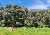 Casa de camp amb terreny en venda a la M-507, Aldea del Fresno, ref.: TR396531 foto