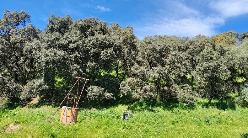 Comunidad de Madrid - Aldea del Fresno - 450000m2