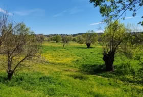 Aldea del Fresno 450000&nbsp;m²