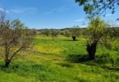 Casa de camp amb terreny en venda a la M-507, Aldea del Fresno, ref.: TR396531 foto