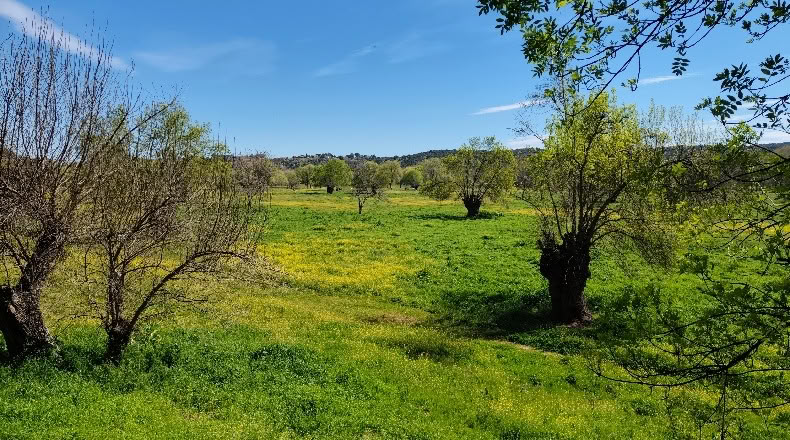 Comunidad de Madrid - Aldea del Fresno - 450000m2