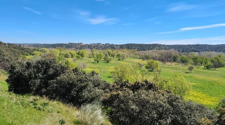 Comunidad de Madrid - Aldea del Fresno - 450000m2