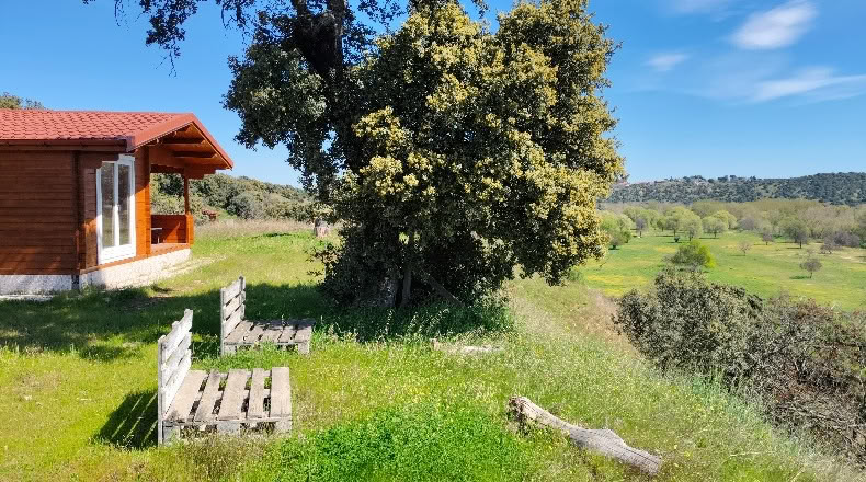 Comunidad de Madrid - Aldea del Fresno - 450000m2