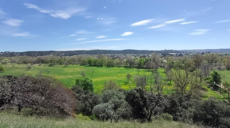 Comunidad de Madrid - Aldea del Fresno - 450000m2