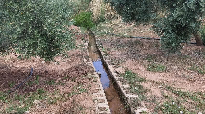Jaen - Benatae - 1000m2