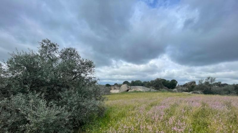 Badajoz - Malpartida de la Serena - 8500m2