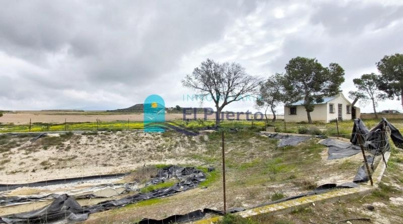 Murcia - Totana - 16562m2