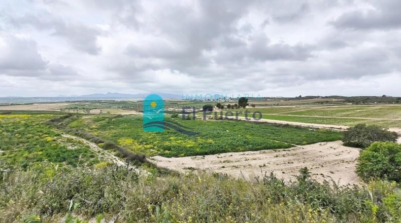 Murcia - Totana - 16562m2