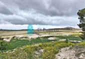 Casa de camp amb terreny en venda a la España, Totana, ref.: TR396659 foto