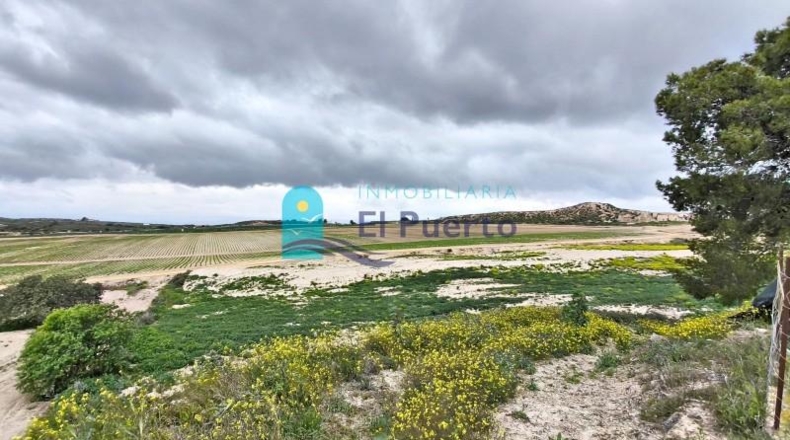 Murcia - Totana - 16562m2