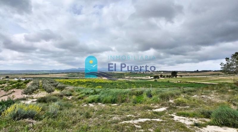 Murcia - Totana - 16562m2