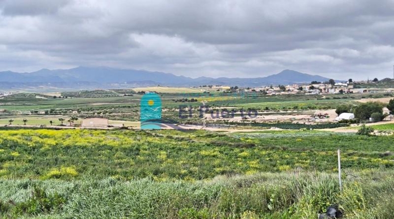 Murcia - Totana - 16562m2