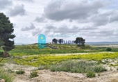 Casa de camp amb terreny en venda a la España, Totana, ref.: TR396659 foto